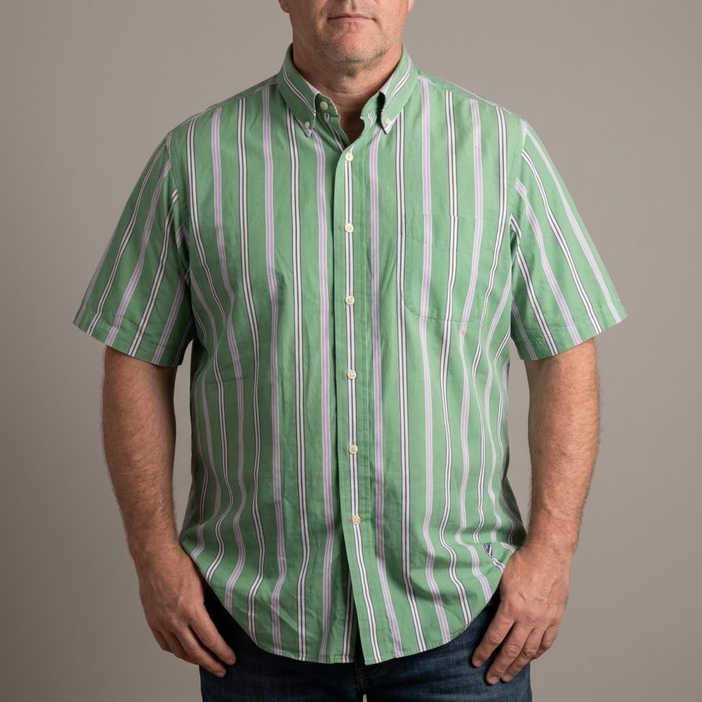 Cremieux Classics Green Purple Stripe S/S Button Down Shirt L EUC